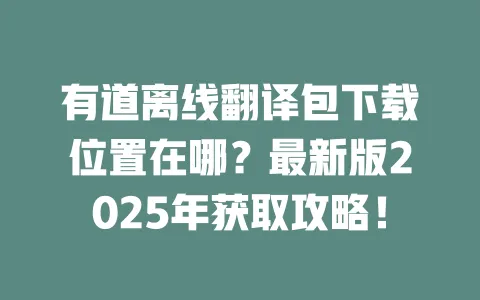 有道离线翻译包下载位置在哪?最新版2025年获取攻略! 一