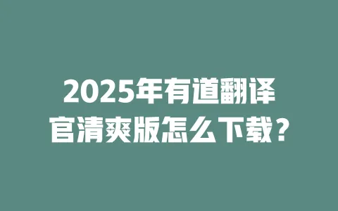 2025年有道翻译官清爽版怎么下载？ 一