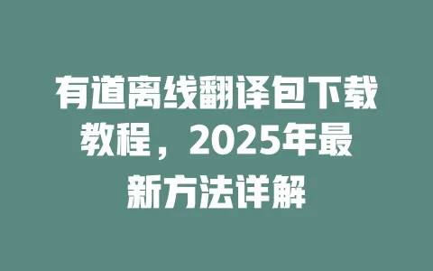 有道离线翻译包下载教程,2025年最新方法详解 一